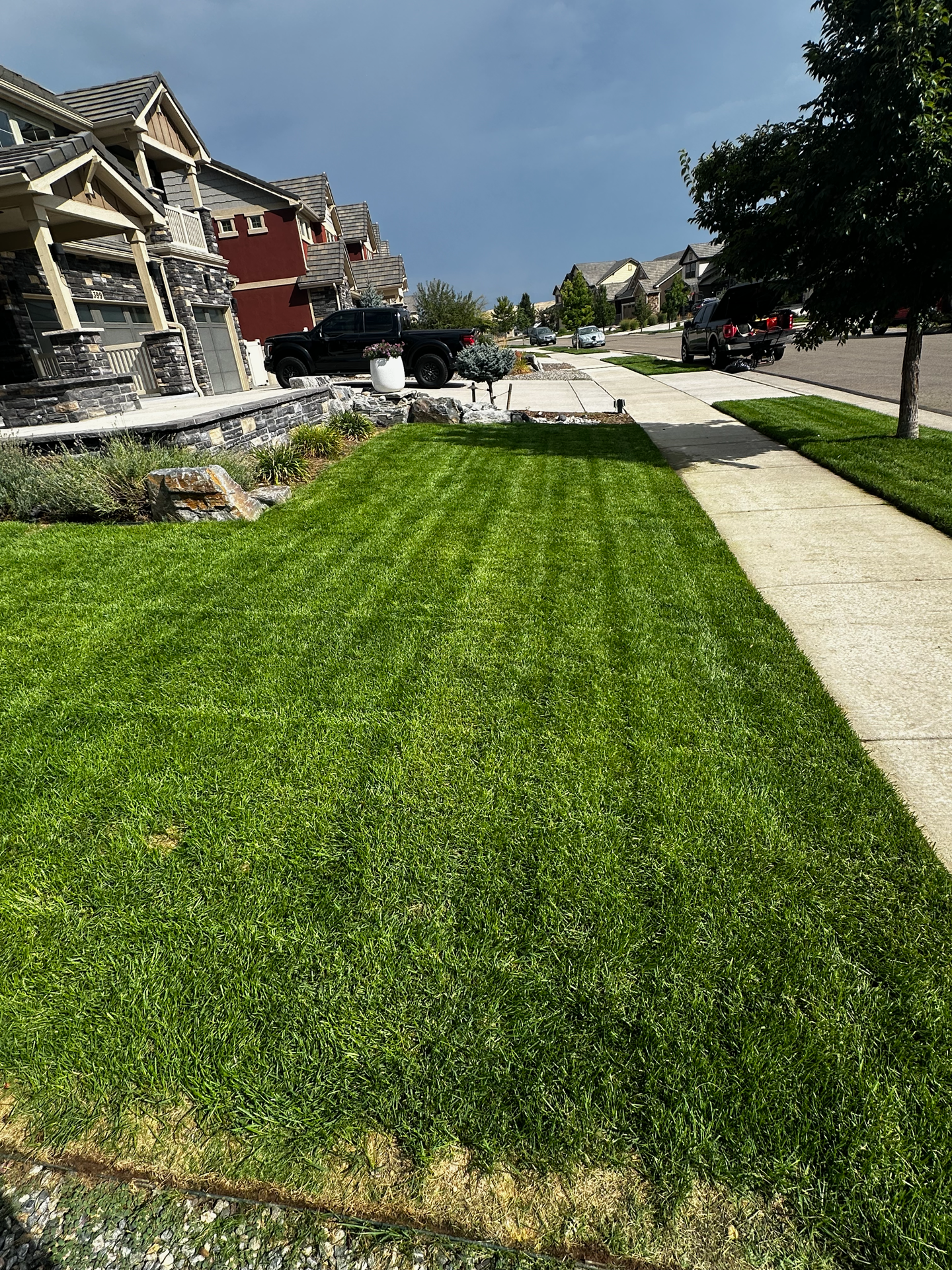Front lawn with mow stripes and stone landscaped bed in Erie Highlands