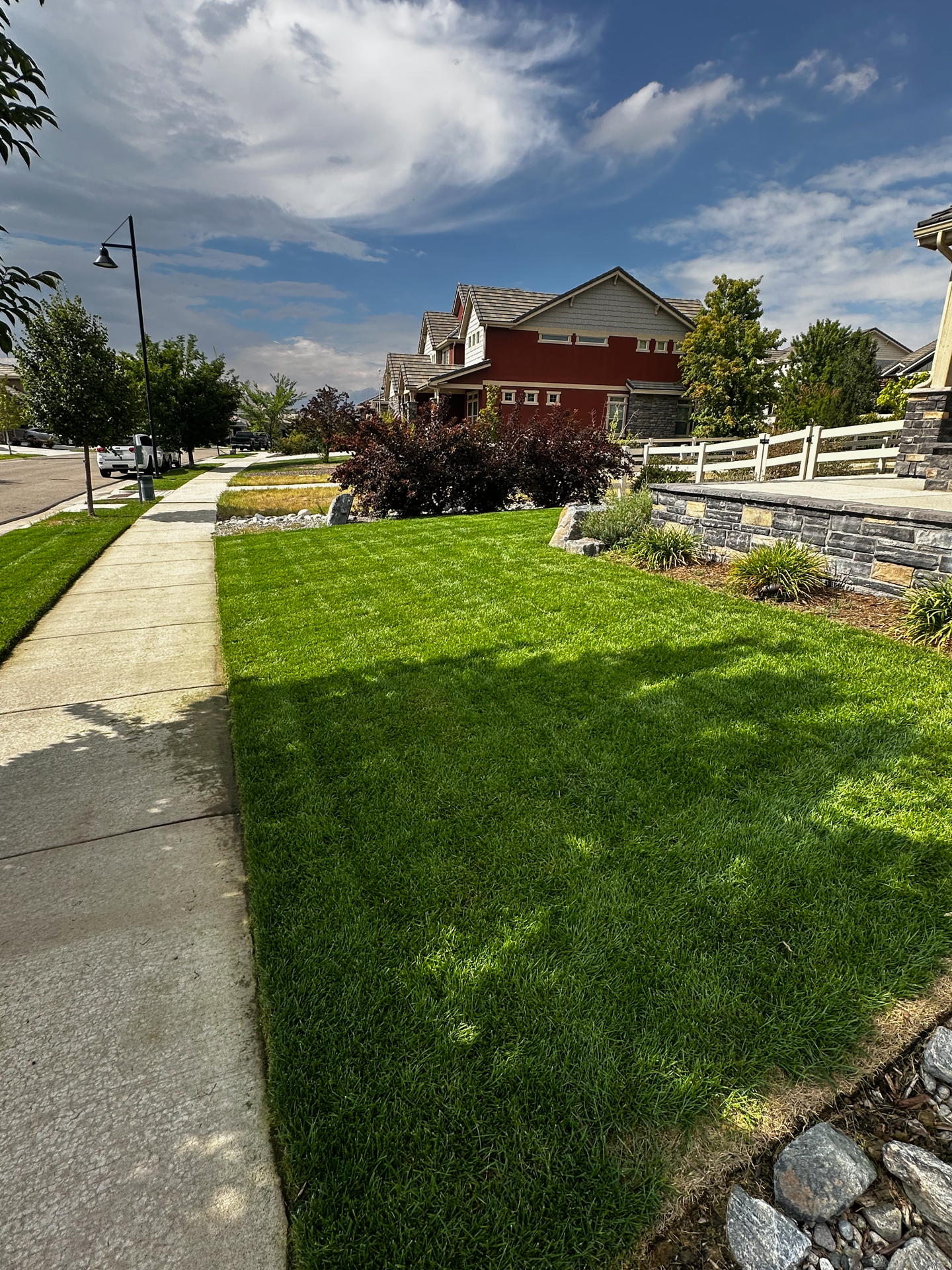 Wide angle of Erie Highlands front yard with mature landscaping