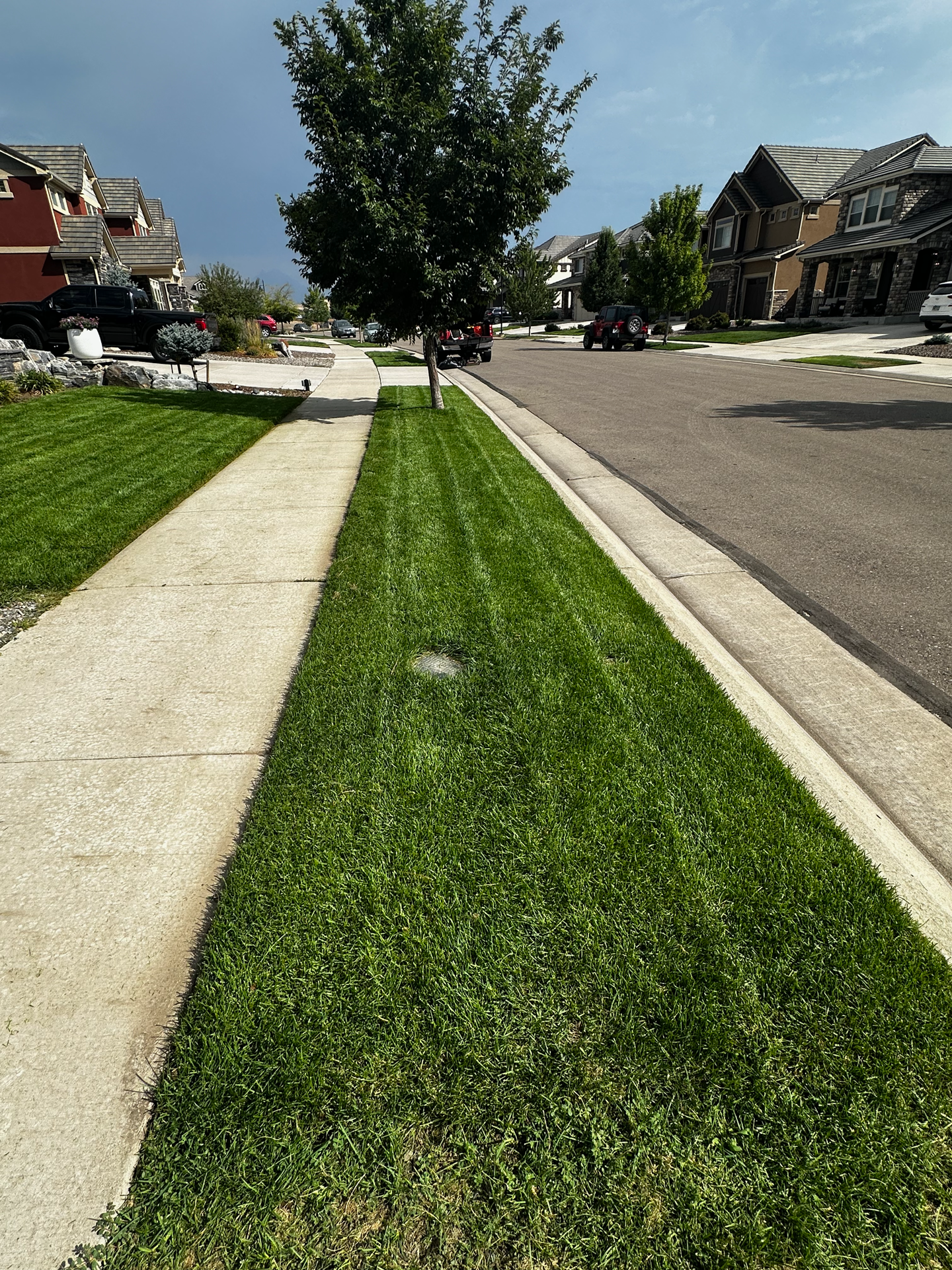 Erie Highlands lawn from street level showing turf quality and color