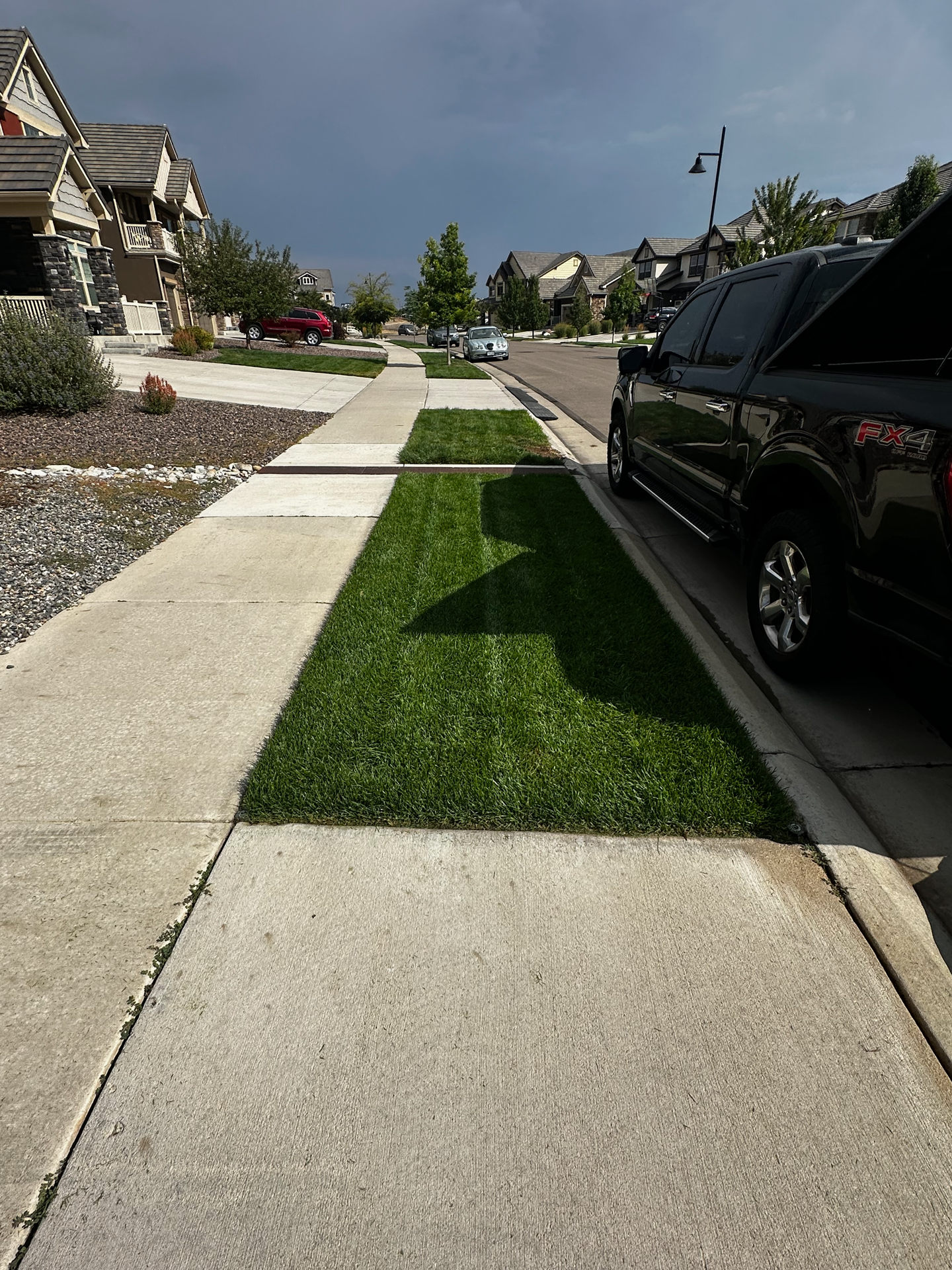 Sidewalk edge and lawn in Erie Highlands after weekly mow service