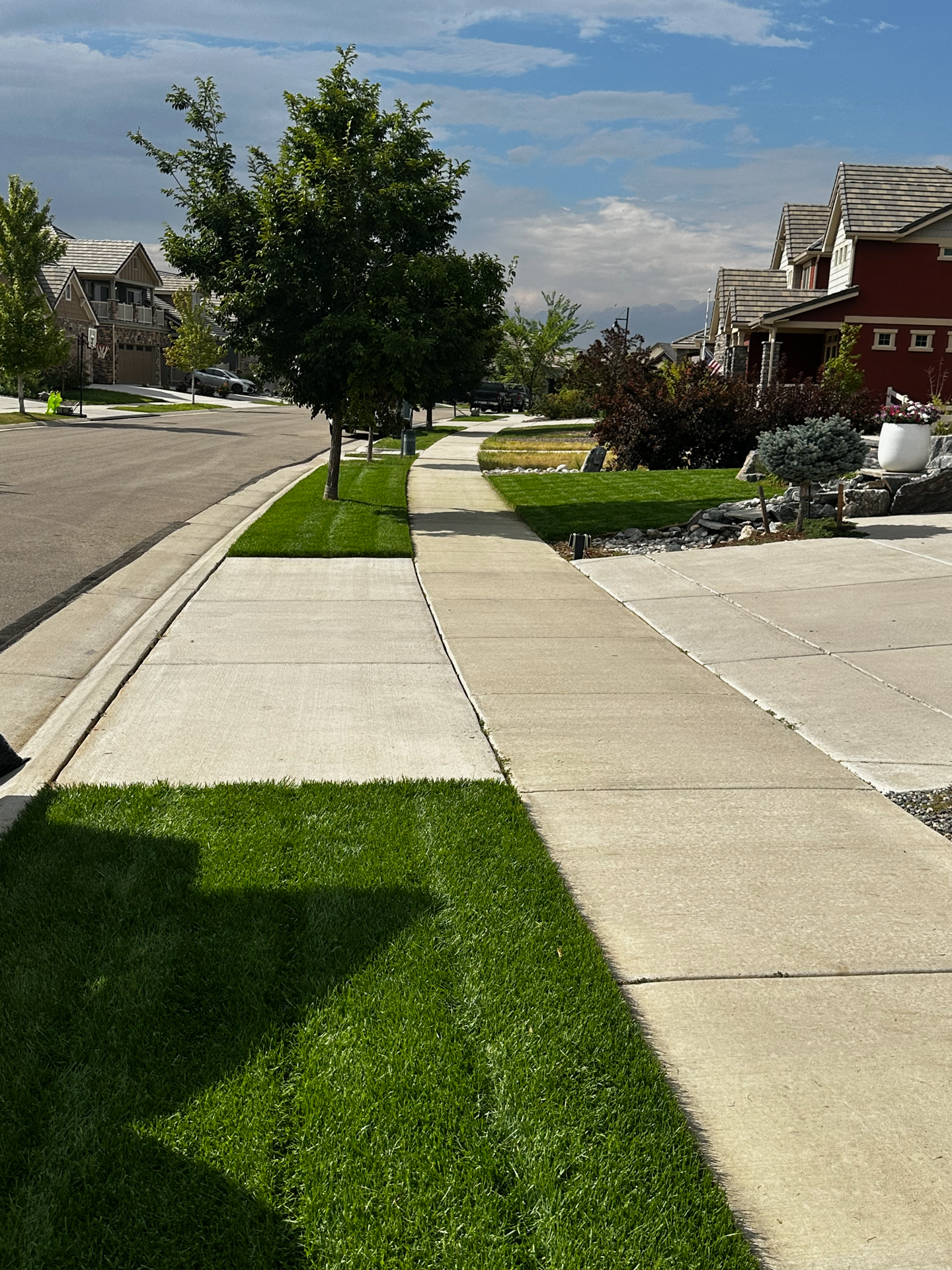 Wide street view of Erie Highlands with freshly mowed boulevard strips running the length of the block