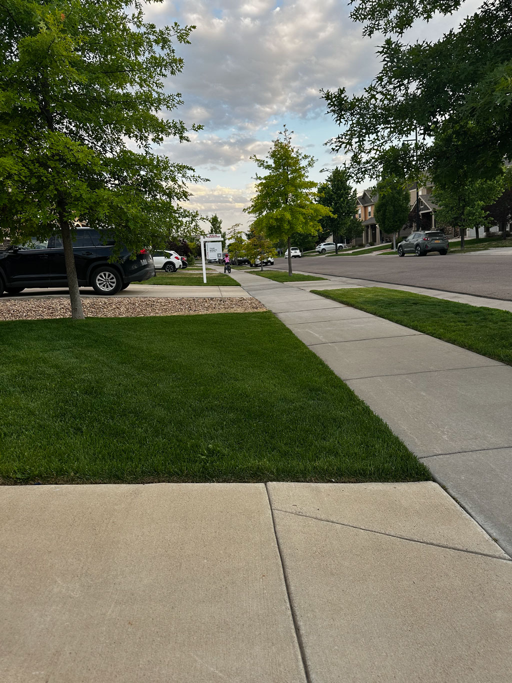 Lush green Erie Colorado lawn at dusk