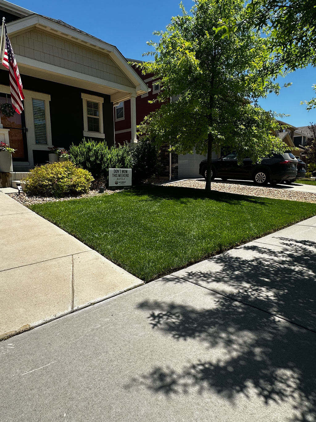 Restored green Erie lawn
