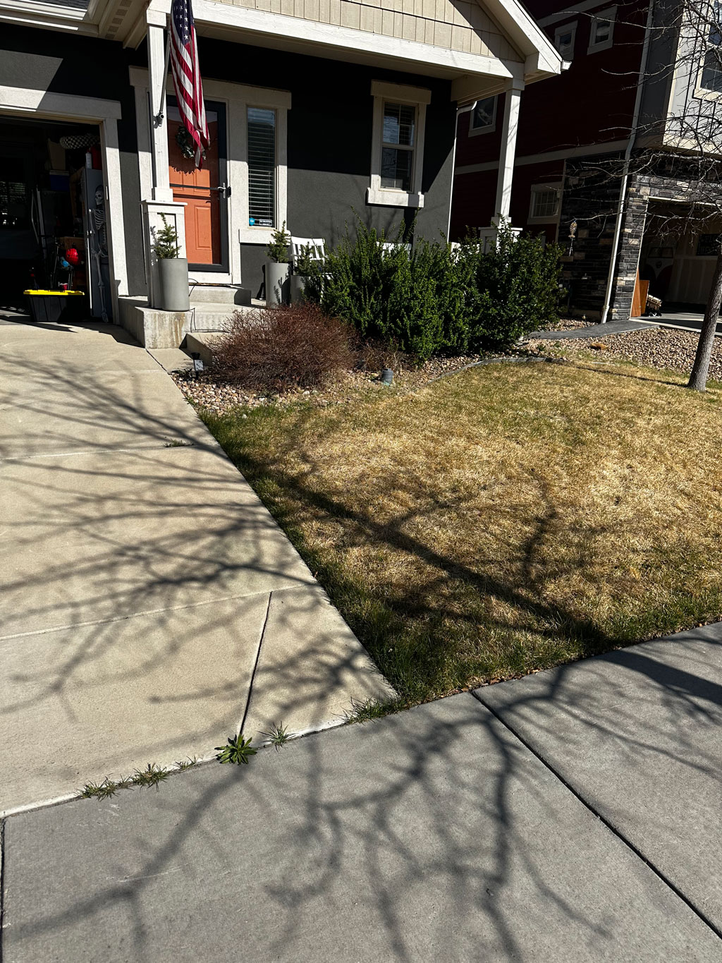 Brown dormant Erie lawn in April