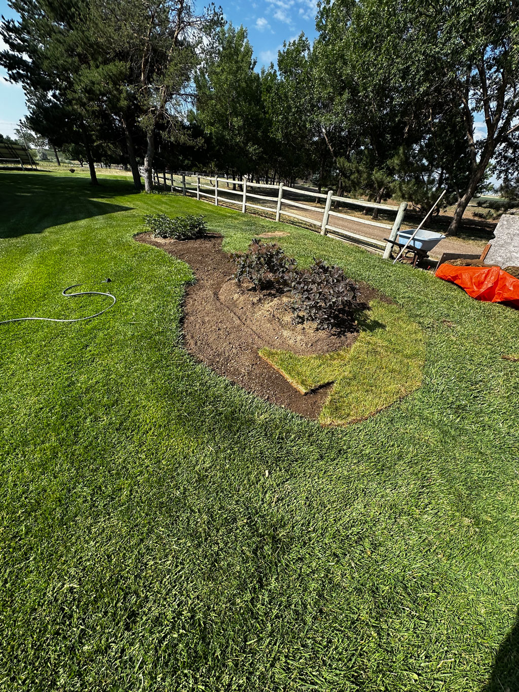 Mid-job view of sod repair and freshly mulched garden bed on rural property south of Longmont, CO