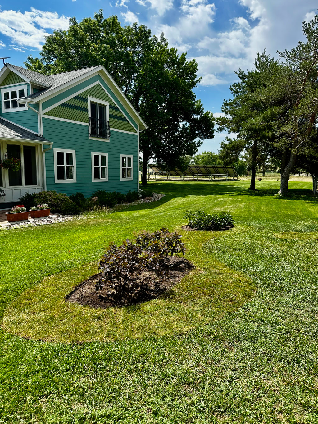 Clean sod and mulched beds on 11-acre Longmont property