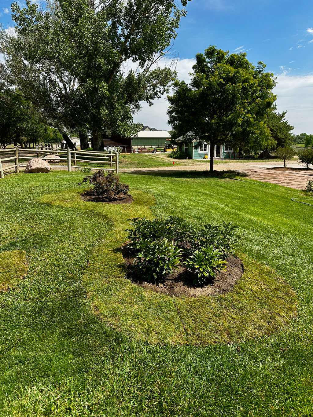 Mow stripes across the open lawn with ranch outbuildings in background
