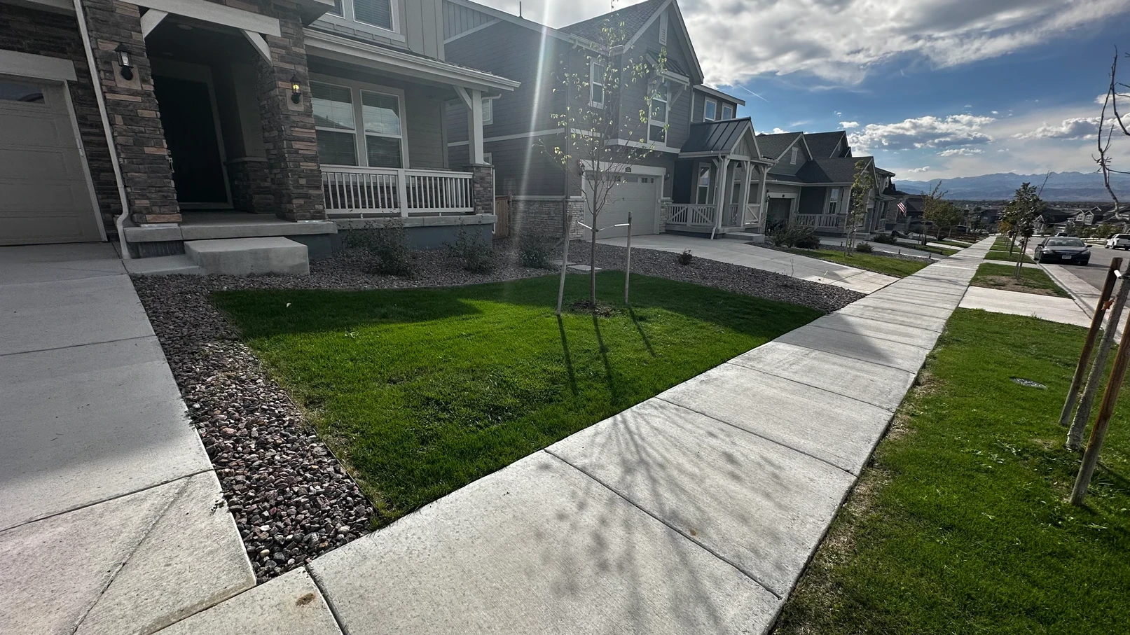 Recovered green front yard and boulevard strip in Sunset Village after Lawn Rx treatment