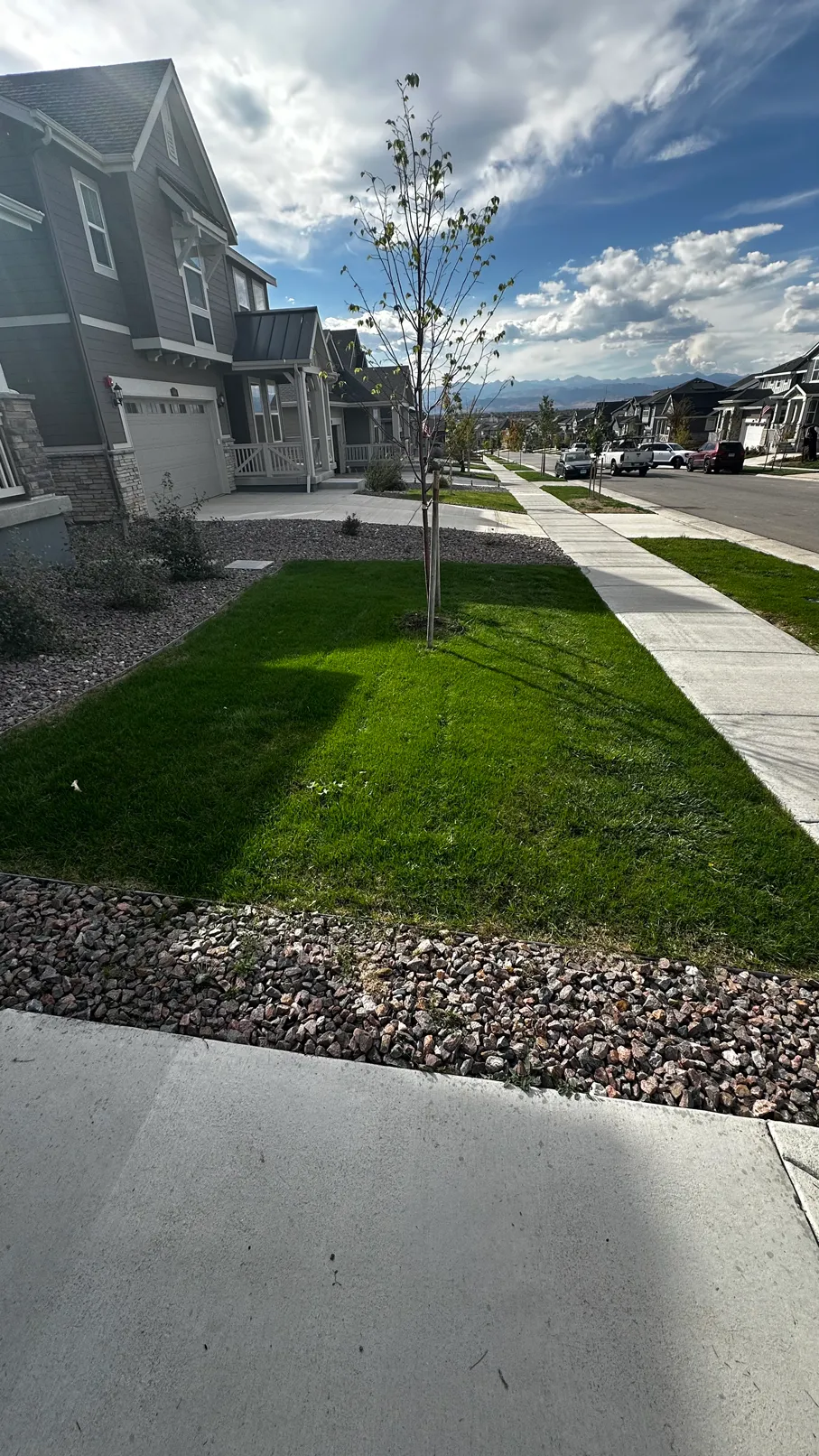 Fully recovered green front lawn in Sunset Village 4 weeks later